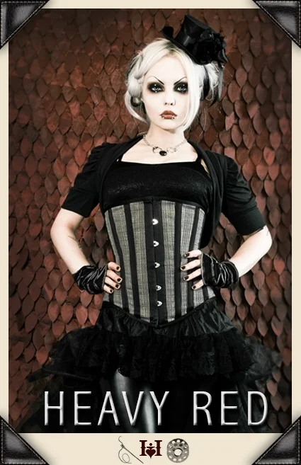 Animal - print bustiers for a wild and fierce styleVictorian Plaid Waist Corset