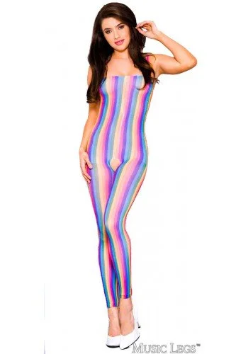 Pink stockings for a sweet and feminine appealRainbow Bodystocking